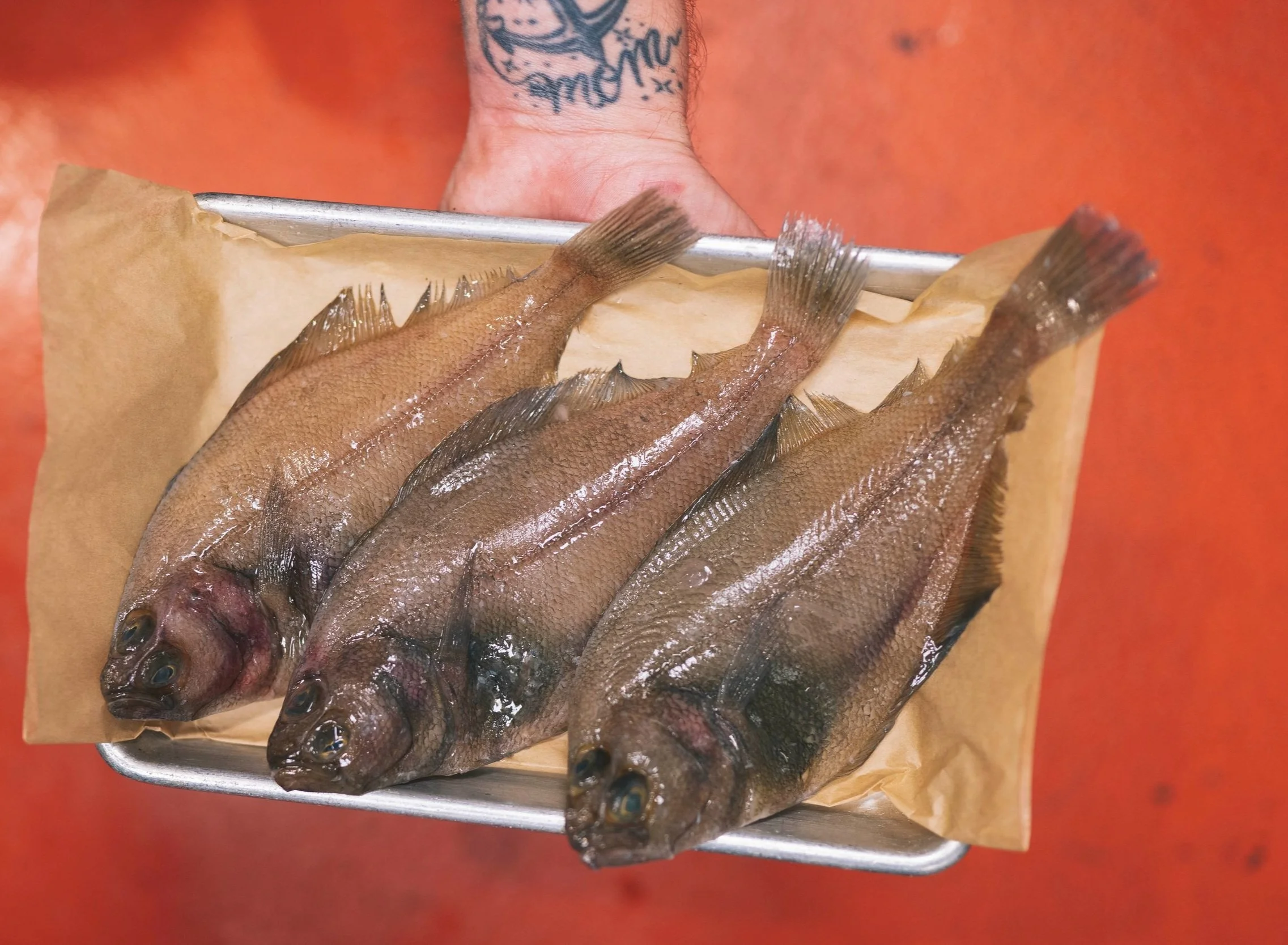 Sanddab - Fish Species Information — Positively Groundfish